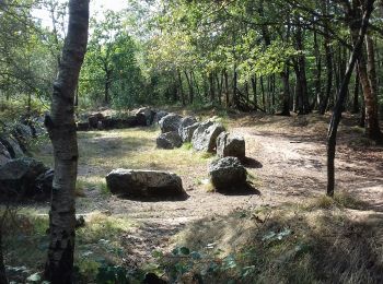 Excursión Senderismo Néant-sur-Yvel - TUMULUS DU JARDIN AUX MOINES (9/20) - Photo