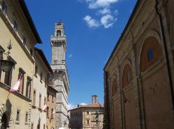 Randonnée A pied Montepulciano - Barlettaia - Photo