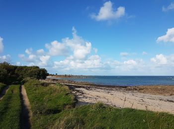 Randonnée Marche Réville - Reville Barfleur boucle - Photo