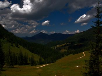 Excursión A pie Gemeinde Walchsee - Wanderweg 53 - Kaiserwinkl - Photo