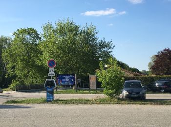 Trail Walking Montéléger - Le parc de Lorient ( Montéléger) 2019 - Photo