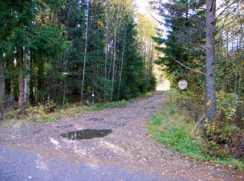 Tour Zu Fuß Espoo - Keskuspuiston kuntorata - Photo