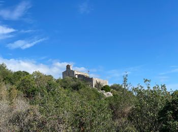 Trail Walking Terrades - San Magdalena suite 2  - Photo