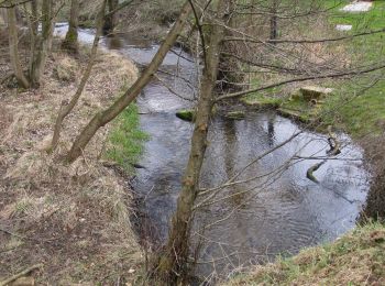 Tour Zu Fuß Ryedale - Dalby Beck Red Trail - Photo