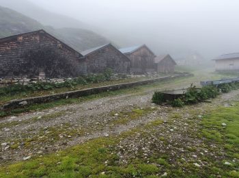 Tocht Stappen Nancy-sur-Cluses - tête de salaz chalets de Vormy - Photo