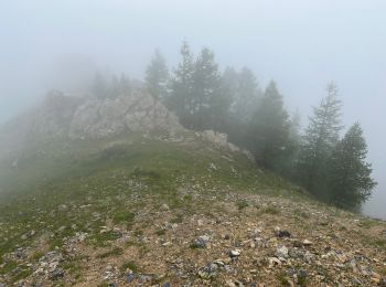 Randonnée Marche Roure - Mont Gravières - Photo