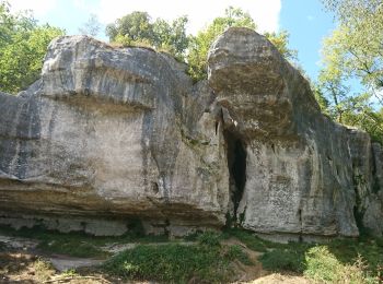 Excursión Senderismo Puymoyen - Puymoyen vallée des eaux claires par centre équestre élevage de cerfs - Photo