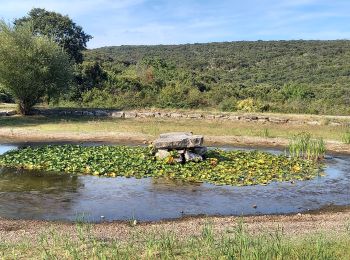 Tour Wandern Le Garn - Gorges de l'Ardèche  - Photo