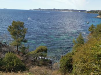 Percorso Bici da strada Le Lavandou - le lavandou  cavalaire - Photo