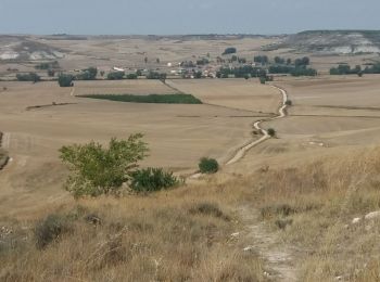 Randonnée Marche Burgos - Hornillos del Camino  - Photo