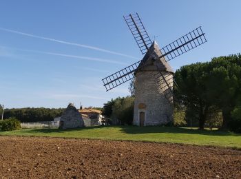 Randonnée Marche Grézac - Grézac mairie  - Photo