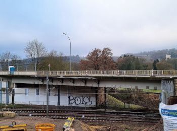 Percorso A piedi Schieren - Fleche Bleu Schieren - Photo