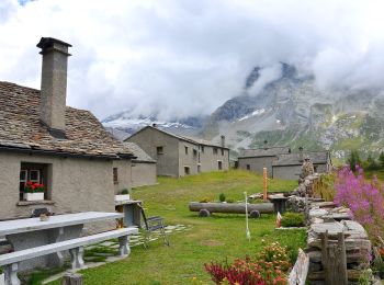 Trail On foot Simplon - Rundweg Simplon-Bergalpe - Photo