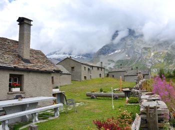 Percorso A piedi Simplon - Rundweg Simplon-Bergalpe - Photo