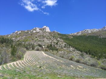 Randonnée Marche Brette - la Servelle  - Photo