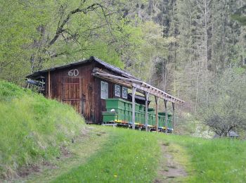 Tocht Te voet Pernegg an der Mur - Wanderweg 10 - Photo