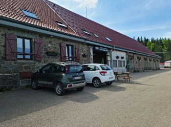 Tour Wandern Sondernach - Rando les Copains d'abord.. 19/05/2022 - Photo