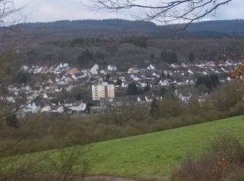 Trail On foot Idar-Oberstein - Rundweg M3 - Photo