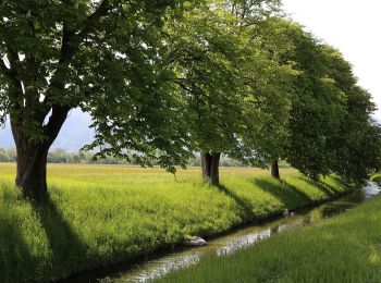 Tour Zu Fuß Gemeinde Ebbs - Fohlenhof-Runde - Photo