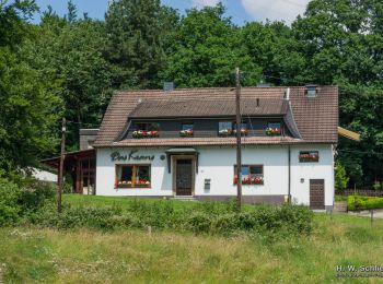 Tocht Te voet Hattingen - Haus Kemnade Rundweg A2 - Photo