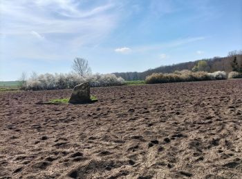 Trail Walking Chaumes-en-Brie - chaumes en brie  - Photo