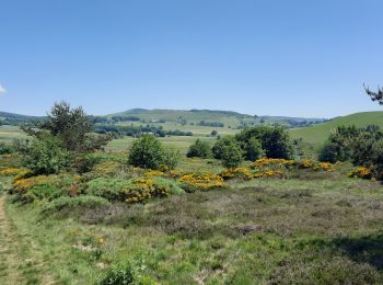 Excursión Senderismo Sagnes-et-Goudoulet - Les Coux-Sagnes-Tour à Eau 14km - Photo