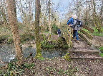 Trail Walking Brie-Comte-Robert - 2024 03 brie c'est mte robert - Photo