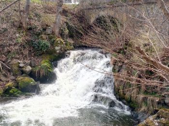 Tour Wandern Besse-et-Saint-Anastaise - Cascades de Chiloza - Photo