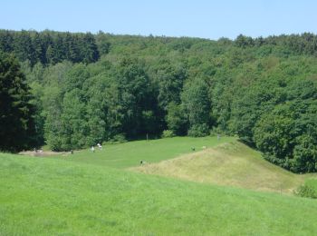 Tocht Te voet Euskirchen - EifelSchleife Madbachtalsperre - Photo