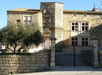 Tocht Te voet Générac - Le Puech du Moulin à vent - Photo