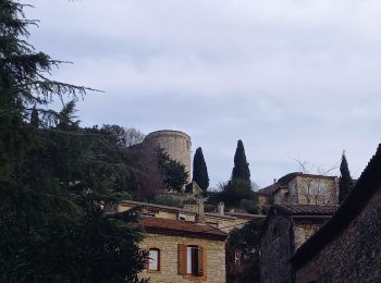 Tour Wandern Vénéjan - Vénéjean Chateau de Gicon - Photo