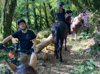 Excursión Paseo ecuestre La Tour-du-Meix - Vouglan camping vendredi Tivio  - Photo