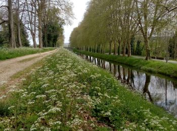 Randonnée Marche Lalinde - Lalinde 15,3km - Photo