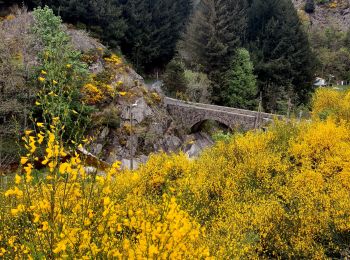 Excursión Senderismo Dornas - la Ronde des hameaux  - Photo