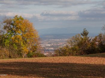 Tocht Stappen Durtol - Durtol_Cote_Pegnu - Photo