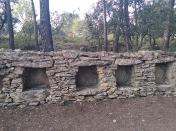 Trail Walking Cornillon-Confoux - Cornillon Confoux : Bories et mur des abeilles - Photo