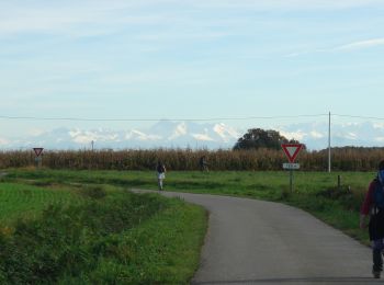 Tour Wandern Aire-sur-l'Adour - CC_Velay_FB_25_Aire-Adour_Arzacq-Arraziguet_20081110 - Photo