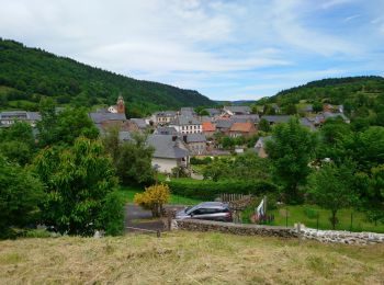 Randonnée Marche Albepierre-Bredons - Cantal - Albepierre - les Cascades - 9.6km 330m 3h25 - 2019 06 23 - Photo