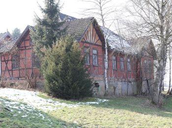 Excursión A pie Rödental - Rundwanderweg Einberger Wald - Photo