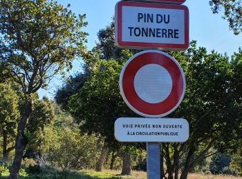 Tour Wandern Le Lavandou - pramousquier les balcons - Photo