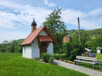 Tocht Stappen Blumberg - Cascade Schleifenbach et gorges de Wutach - Photo