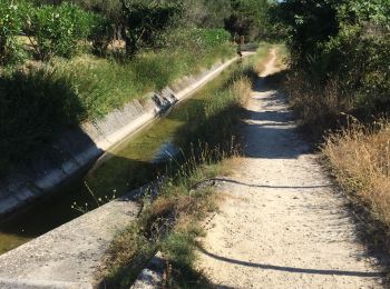 Tocht Stappen Mouans-Sartoux - Canal siagne juillet 2019 - Photo