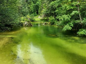 Randonnée Marche Bohinj - Lac de Bohinj randonnée Slovénie - Photo