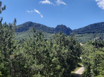 Trail Walking Piégros-la-Clastre - Piegros la Clastre - Chapelle St Médard 15km - Photo