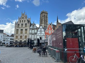 Excursión Senderismo Malinas - Malines 17 km - Photo