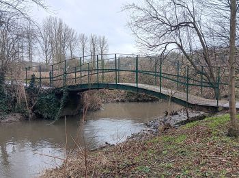 Trail Walking Bassenge - entre Wonck et Eben-Eser - Photo