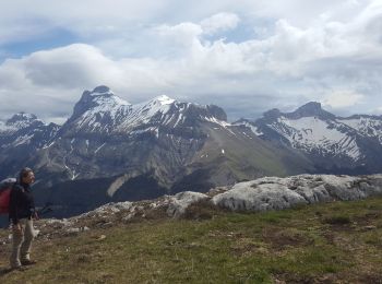 Randonnée Marche Tréminis - Treminis :  Montagne de Paille, col de la Croix. - Photo