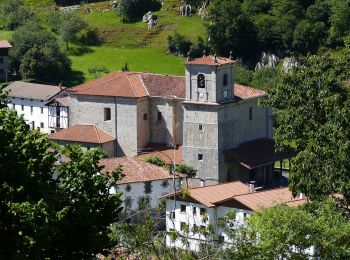 Tour Zu Fuß Albiztur - SL-GI 13 Galtzadatik barrena - Photo