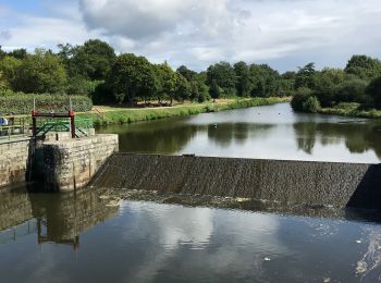 Trail Walking Blain - 13.08.2019 - Autour de ST OMER DE BLAIN - Photo