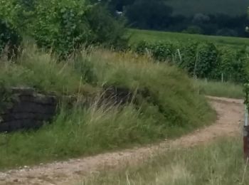 Randonnée Marche Bergholtzzell - bergholtzzell  croix de mission boucle - Photo